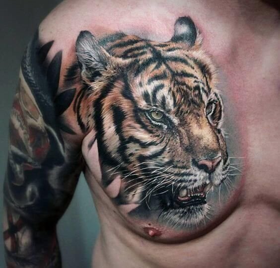 chest tattoo tiger